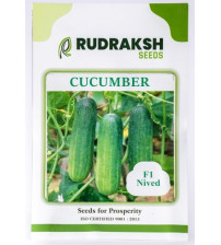 Cucumber F1 Nived 10 grams